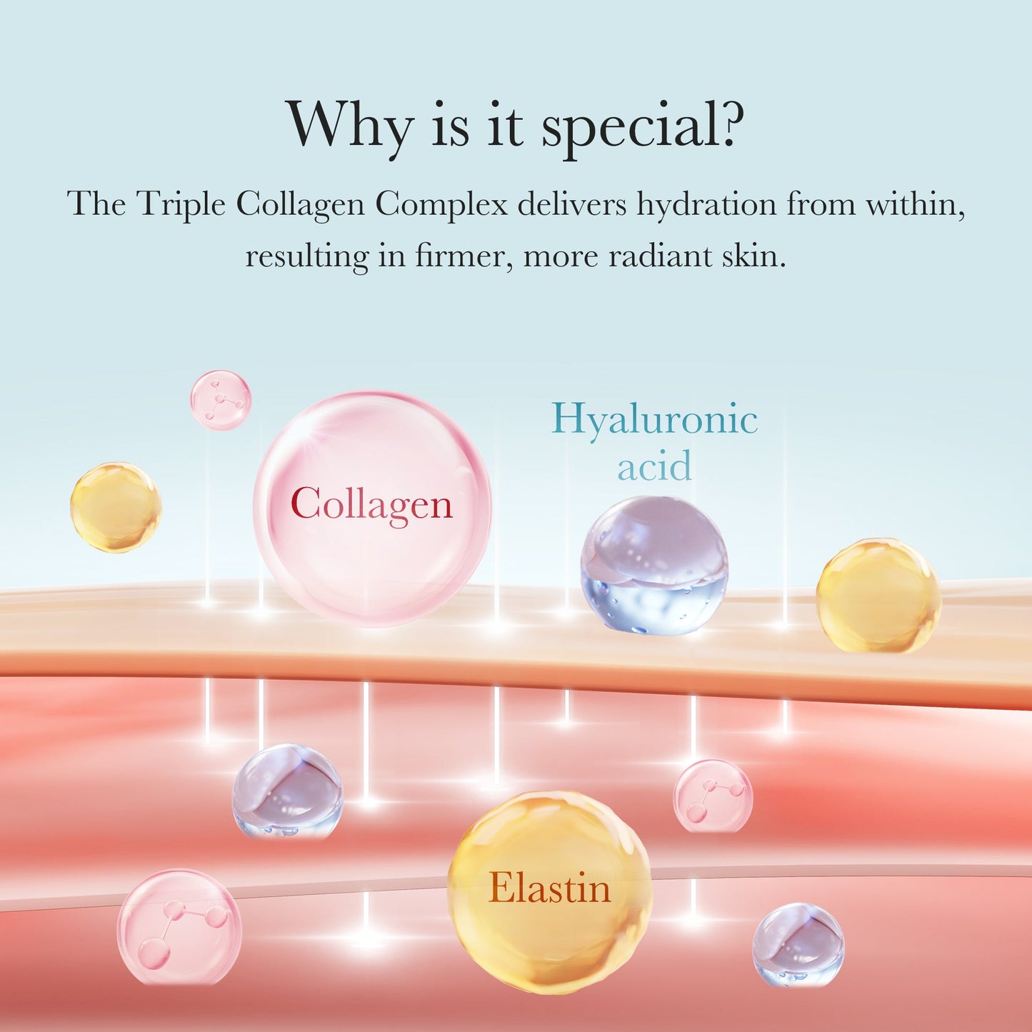 triple-collagen-cream-b5 04_8e4e330d-7d9c-4ff0-93ec-ea541093220c.jpg